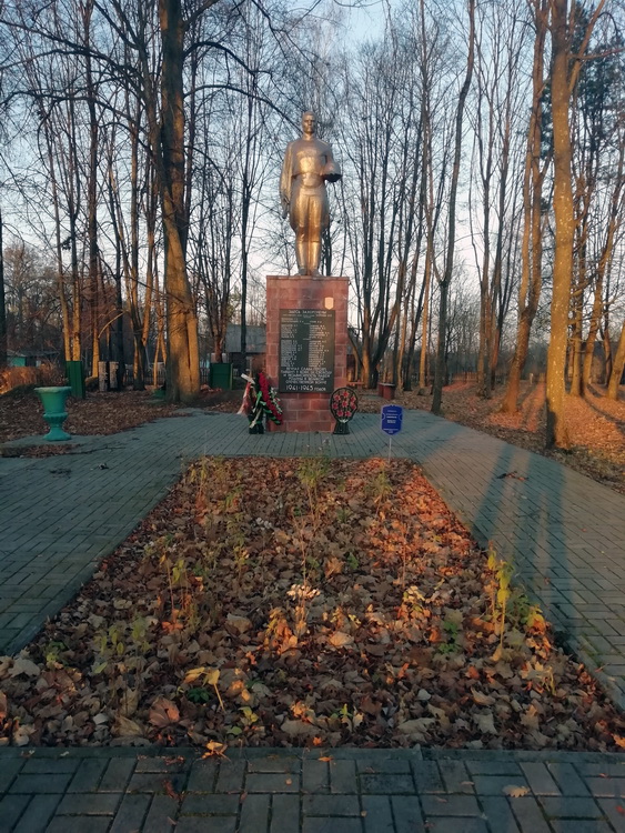 Братская могила в деревне Дубровка (общий вид)